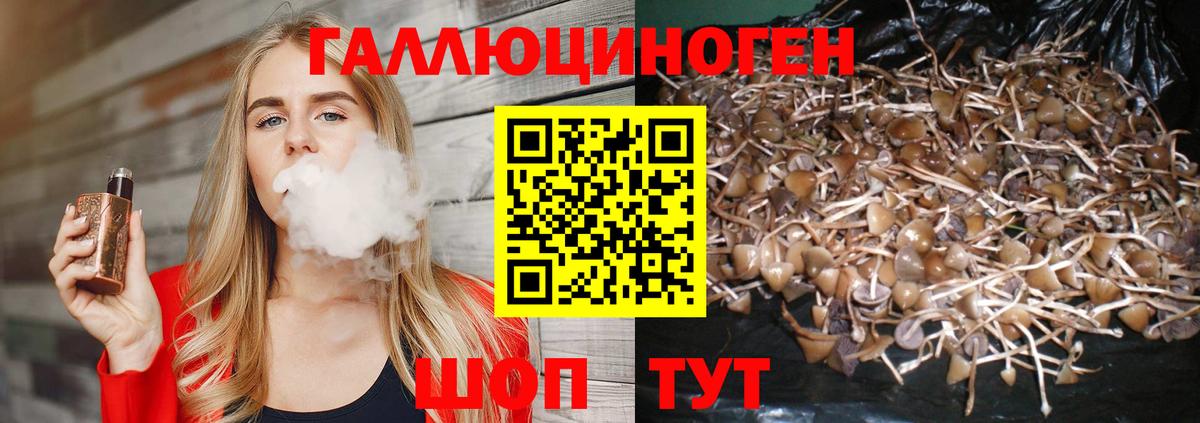 наркошоп  Вход с VPN  Подольск  Галлюциногенные грибы MAGIC MUSHROOMS  Псилоцибиновые грибы Psilocybine cubensis 